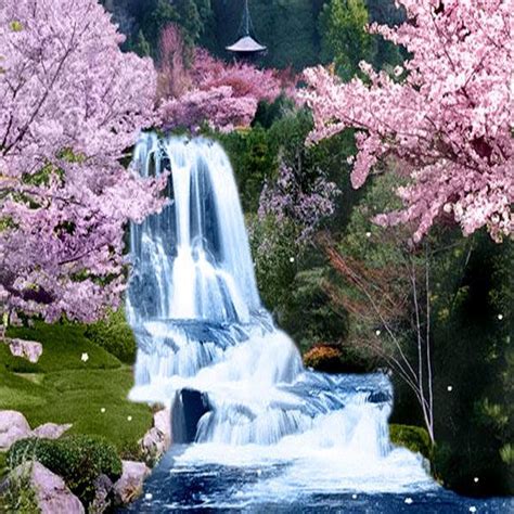 Chinese Falls Waterfall Pictures Cherry Blossom Japan Japanese