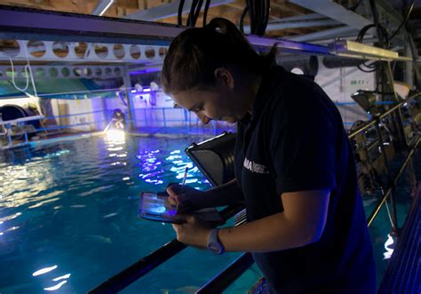 How Does Our Aquarium Deliver Conservation Ocean Conservation Trust