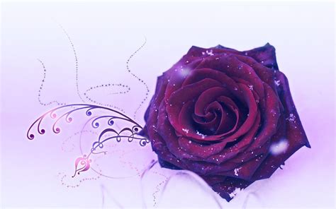 Purple Roses Wallpapers Wallpaper Cave
