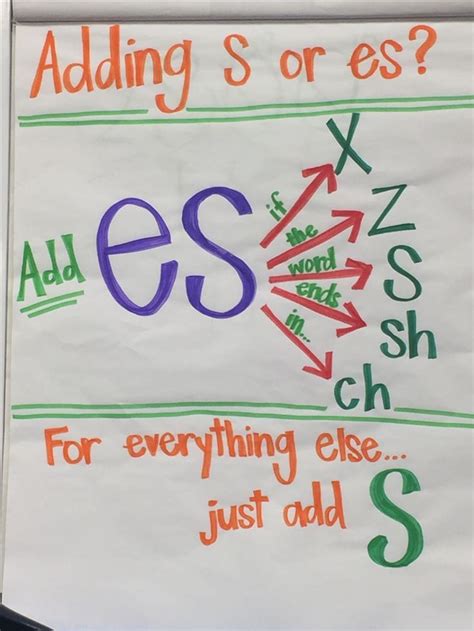 Adding S Or Es To The End Of Plural Words Goes With A Wet Sort