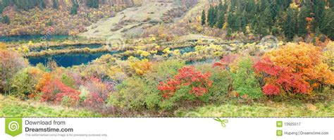 Autumn Tree And Lake Panorama In Jiuzhaigou Stock Image Image Of