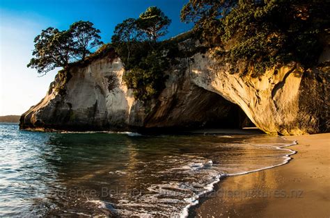 Cathedral Cove Cathedral Cove On The Coromandel In North Island New