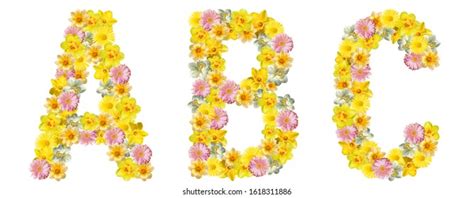 Abc Roses Flower Alphabet Isolated On Stock Photo 80343550 Shutterstock