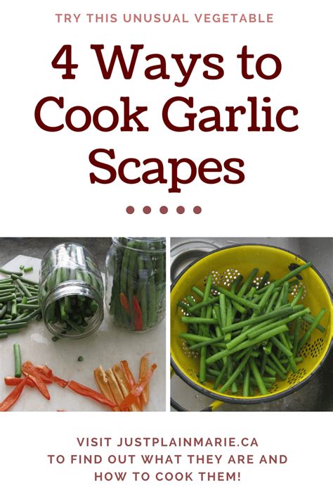How To Cook Garlic Scapes Just Plain Cooking Garlic Scapes How To