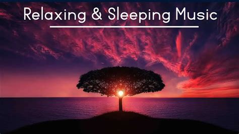 Relaxing Sleep Music Deep Sleeping Music Relaxing Music Stress Relief Meditation Music