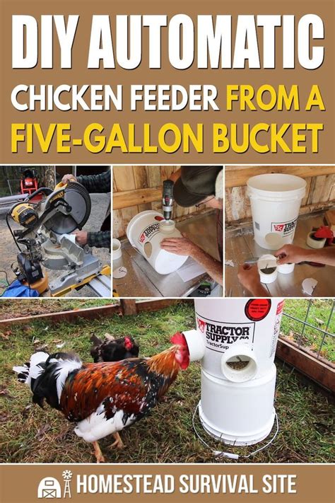 Diy Automatic Chicken Feeder From Five Gallon Bucket Automatic