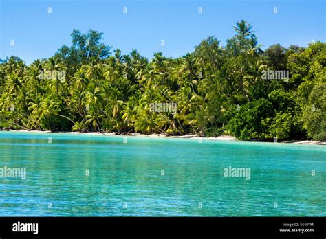 Lagoon With A Sandy Beach And Palm Trees Peleliu Palau Micronesia