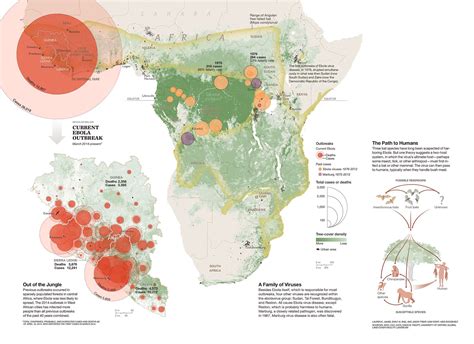 Mapping The Spread Of Disease In A Community National Geographic Society