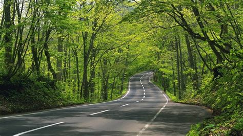 Road Full Hd Wallpaper And Background Image 1920x1080