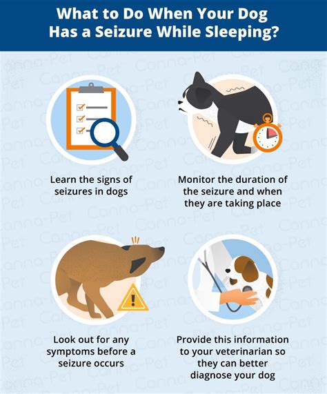 Unfortunately, not all physicians will do so, and he. Why Do Dogs Have Seizures While Sleeping? | Canna-Pet ...