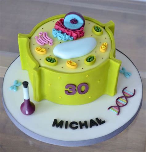 Plant Cell Cake Plant Cell Project Plant Cell Model Plant Cell