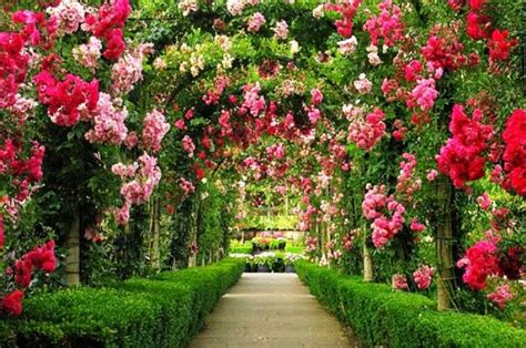 Gambar Taman Bunga yang Cantik | Taman indah, Ide berkebun, The secret