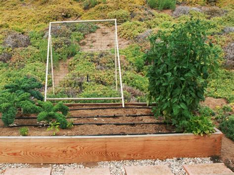 Prepare raised bed cucumbers belong to the cucurbitaceae family which includes summer squash, winter squash, gourds, and melons. DIY Squash & Cantaloupe Trellis | Vertical garden diy ...