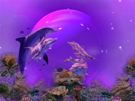 We have an extensive collection of amazing background images carefully chosen by our. Purple Dolphins Graphics Code | Purple Dolphins Comments ...