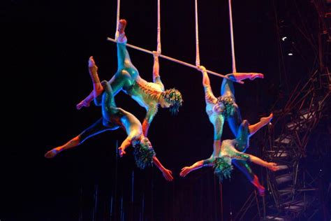 Varekai Cirque Du Soleil Theater Pizzazz