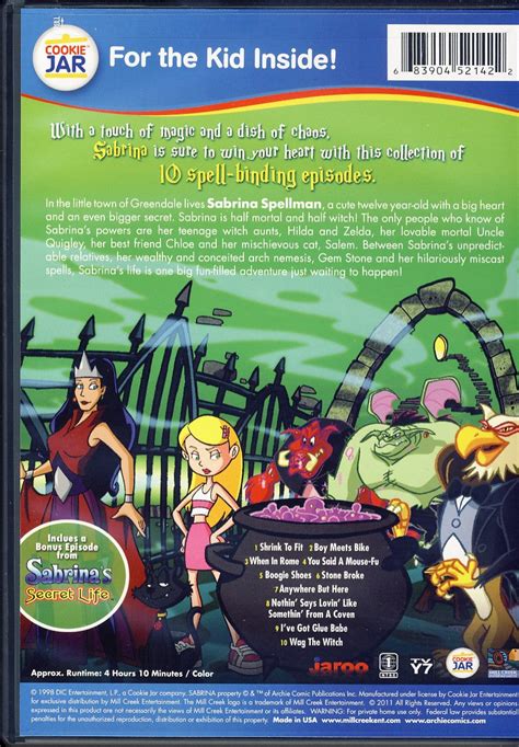 Sabrina The Animated Series A Touch Of Magic On Dvd Movie