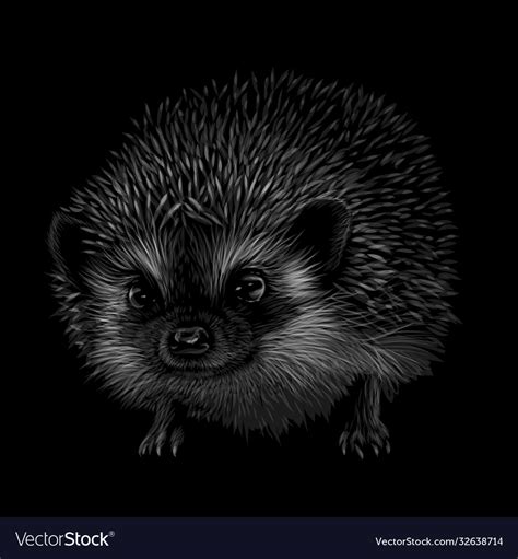 Hedgehog Artistic Black And White Drawn Royalty Free Vector