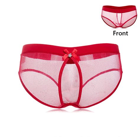 New Crotchless Mesh Sexy Panties Low Waist Women Panties Underwear New Back Hollow Out Bowknot