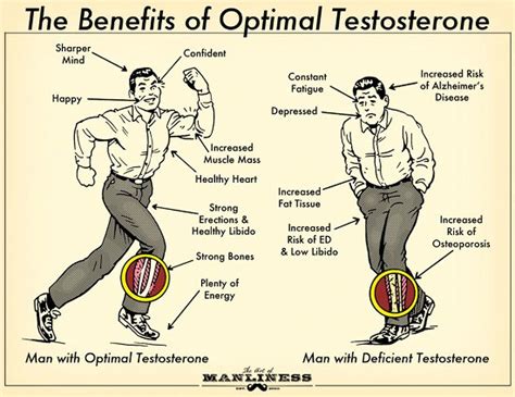 Benefits Of Testosterone Replacement Pro Health Wellness Clinic
