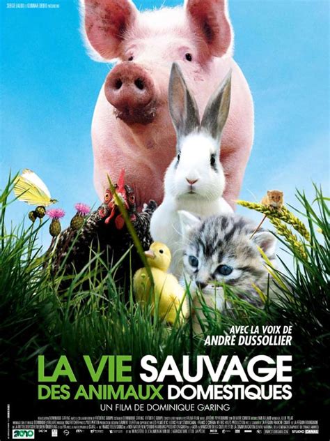 La Vie Sauvage Des Animaux Domestiques Film 2009 Allociné