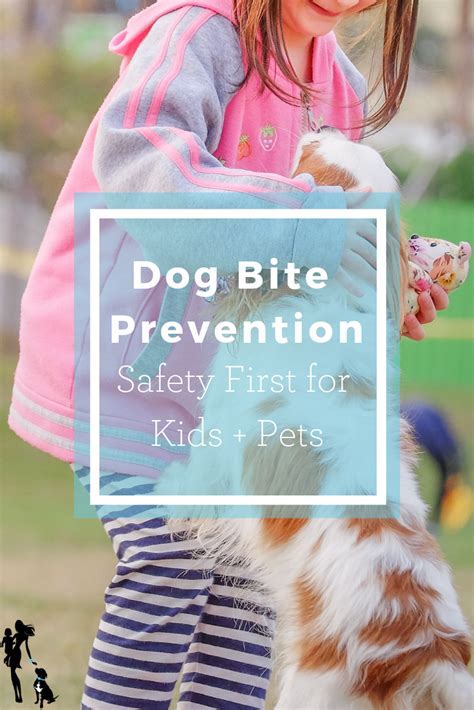 Dog Bite Prevention Safety First For Kids Pets Animals For Kids