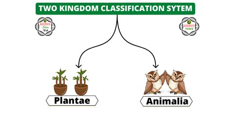 What Is The Two Kingdom System Of Classification Explain