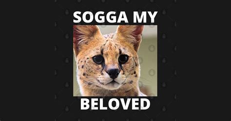 Sogga My Beloved Serval Meme Cat Meme Sogga My Beloved T Shirt