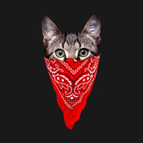 Gangster Cat Cat T Shirt Teepublic