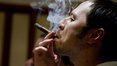 cigar smoking survives and thrives