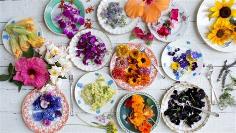 Edible Flowers How To Use Them In Sweet Savory Dishes Drinks