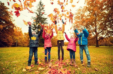 Hd Picture Happy Children Playing Autumn Leaves 01 Free Download