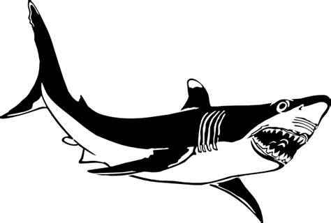 Shark Stencil Printable Clipart Best