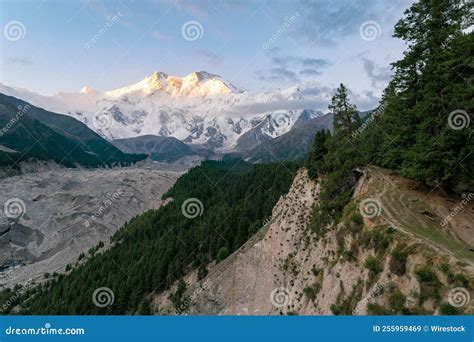 Beautiful Shot Of Trees And Rakhiot Glacier And Nanga Parbat In
