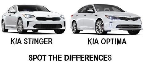 Comparison Of The 2018 Kia Stinger And Kia Optima