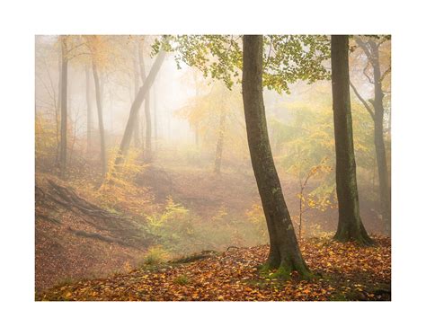 Autumn In The Chilterns On Behance