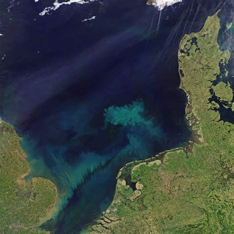 Spring Color In The North Sea