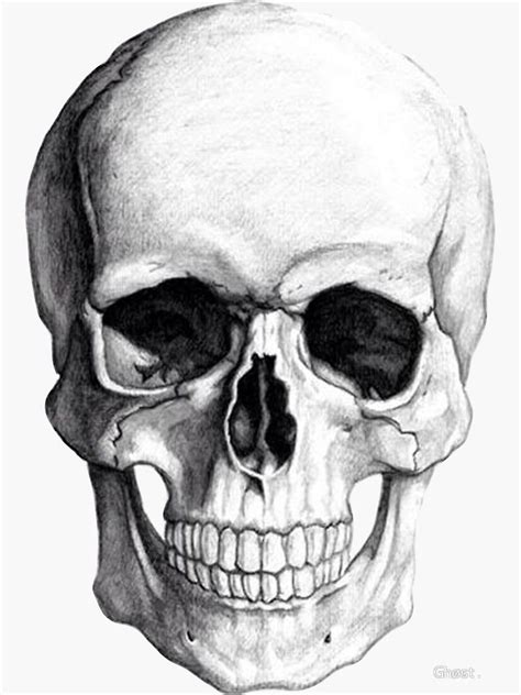Skull Sticker By Ghøst In 2021 Skull Sketch Skull Drawing Skull