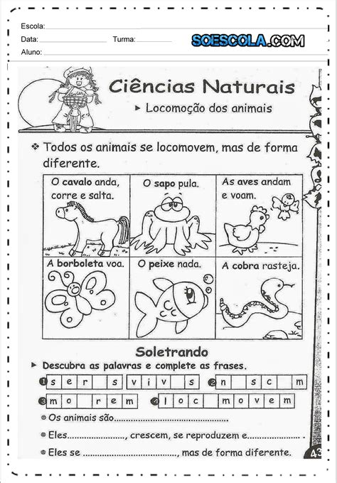 Animais Vertebrados E Invertebrados Atividades 3 Ano