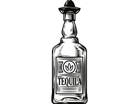 Cómo dibujar una botella de forma fácil para niños. Alcohol Bottle 8 Tequila Liquor Sombrero Drink Drinking