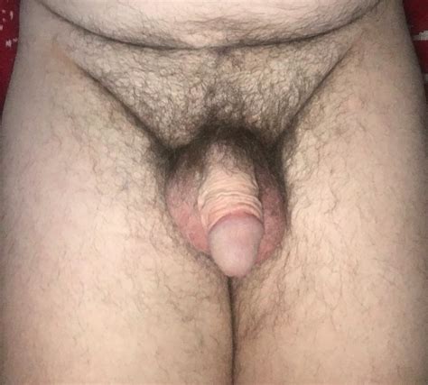 Hairy Soft Cock 12 Pics Xhamster