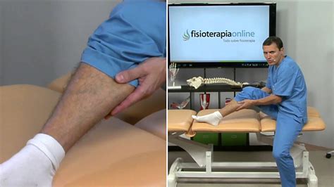 tratamiento rotura de fibras o rotura muscular fisioterapia bilbao youtube