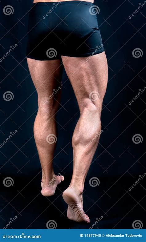 The Perfect Male Legs Stock Image Image Of Perfect Abdominal 14877945