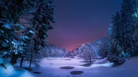 Rivers Winter Stream Forest Ice River Snow Water Cold Snowy Forest At
