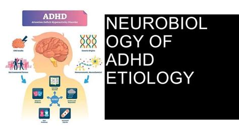 Neurobiology Of Attention Deficit Hyperactivity Disorder