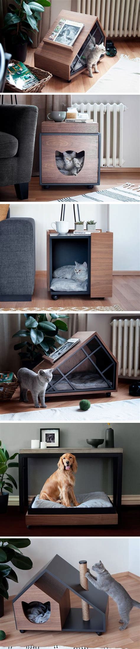 Pet Furniture Furniture Design Istanbul Apartment Pet Spotted