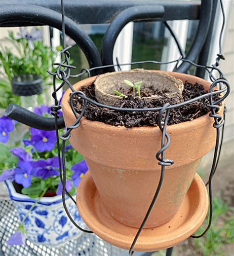 Wire Hanging Basket Cage