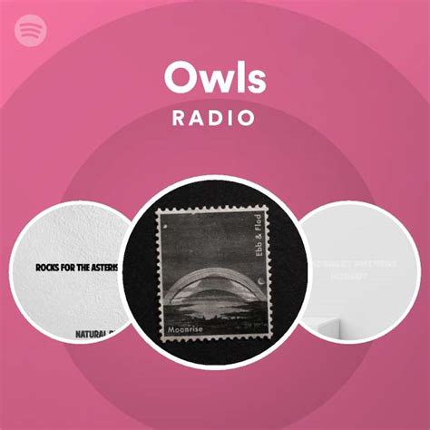 Owls Radio Playlist By Spotify Spotify