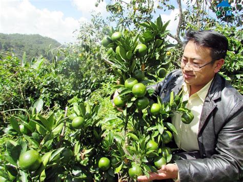Khách sạn lữ tấn nằm ở địa chỉ 2/6 đường.quảng trường lâm viên: Xã Xuân Trường, Thành phố Đà Lạt, Tỉnh Lâm Đồng