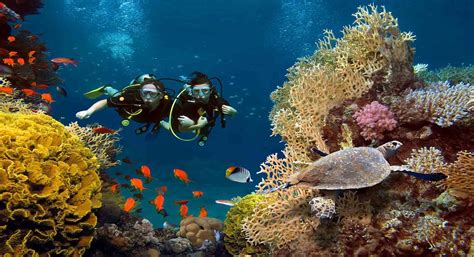 Scuba Diving In Krabi