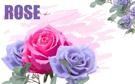 Premium Vector Pink And Purple Roses For Spring Background